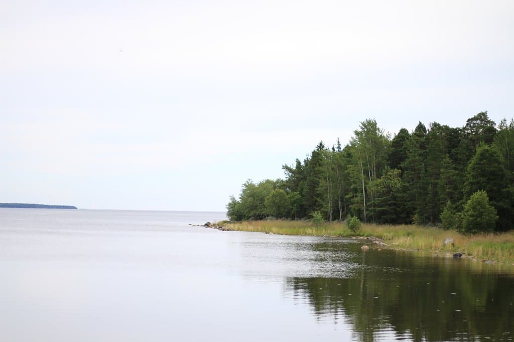Utsikt från Tärnvikens badplats