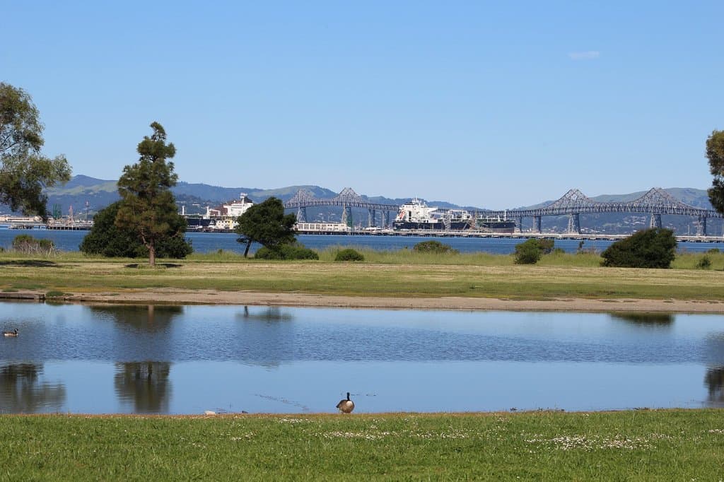 Knox-Miller Regional Shoreline May 2016