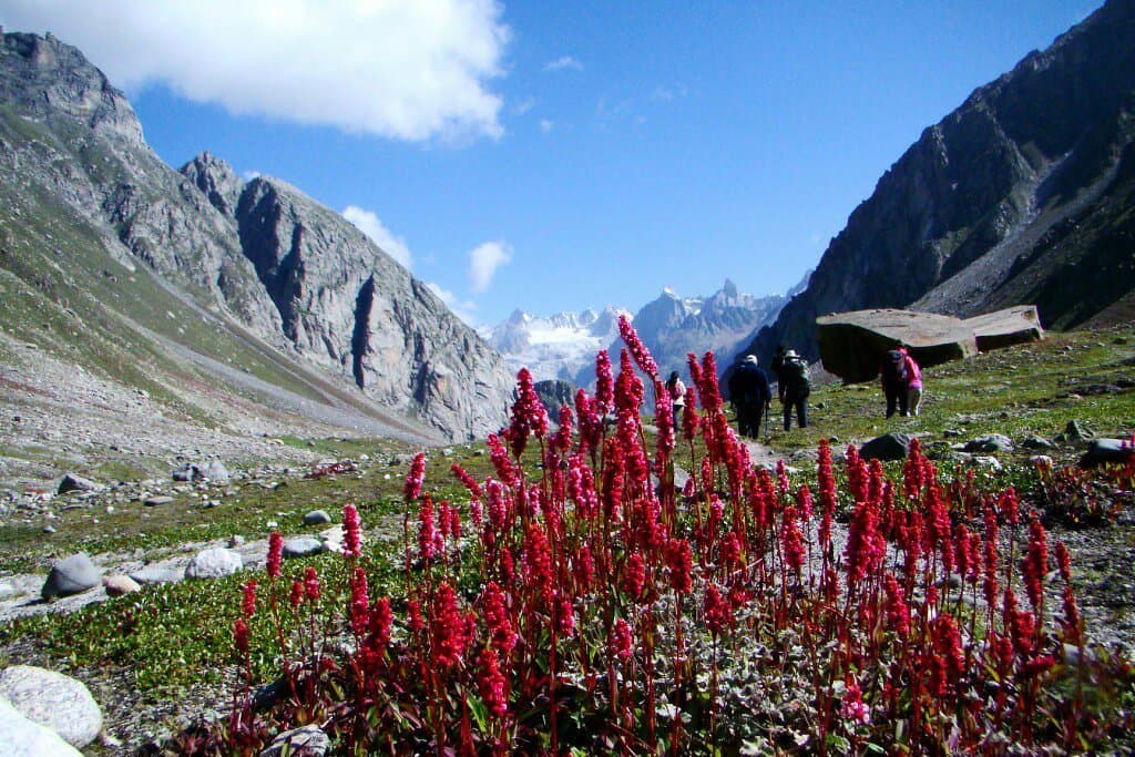 Hampta Pass Himachal Pradesh