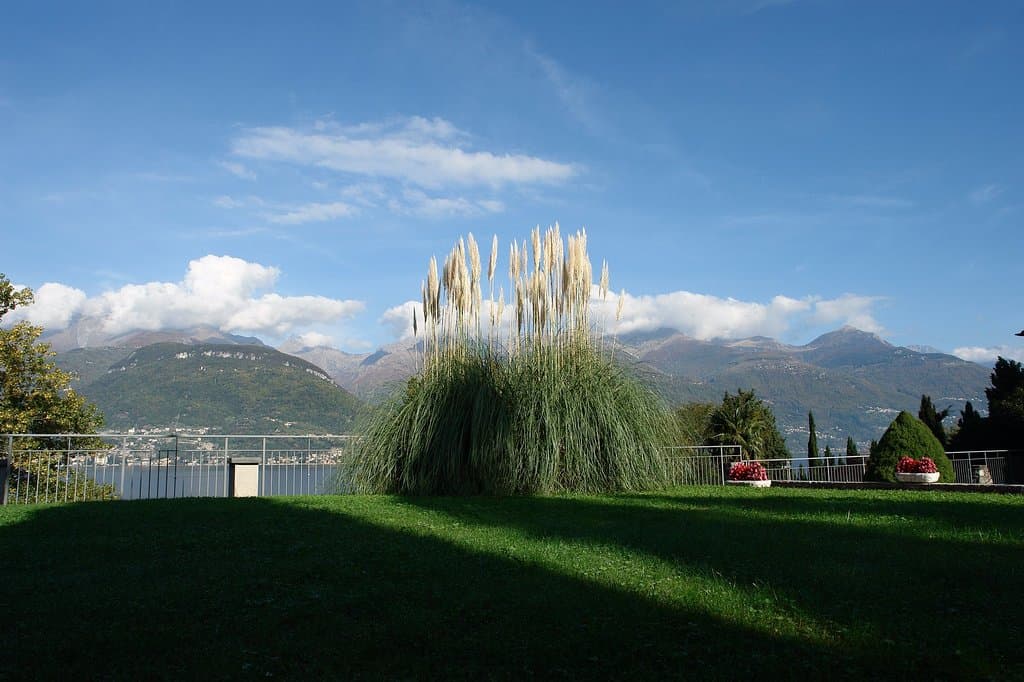 il giardino