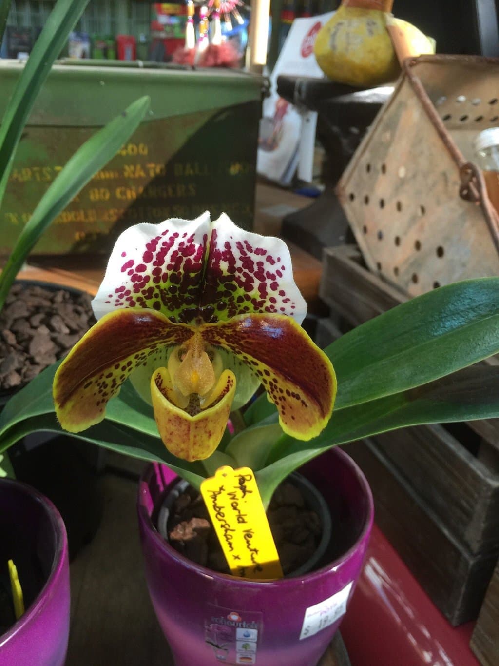 Bulleen Art & Garden