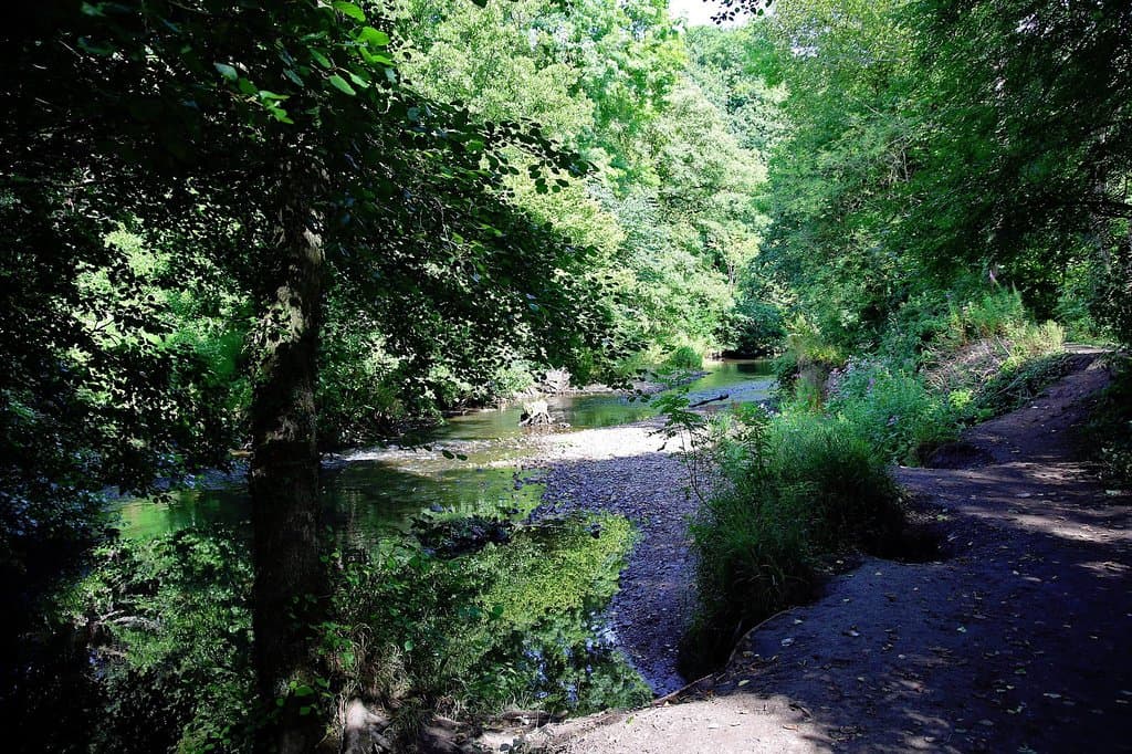Alyn Waters Country Park