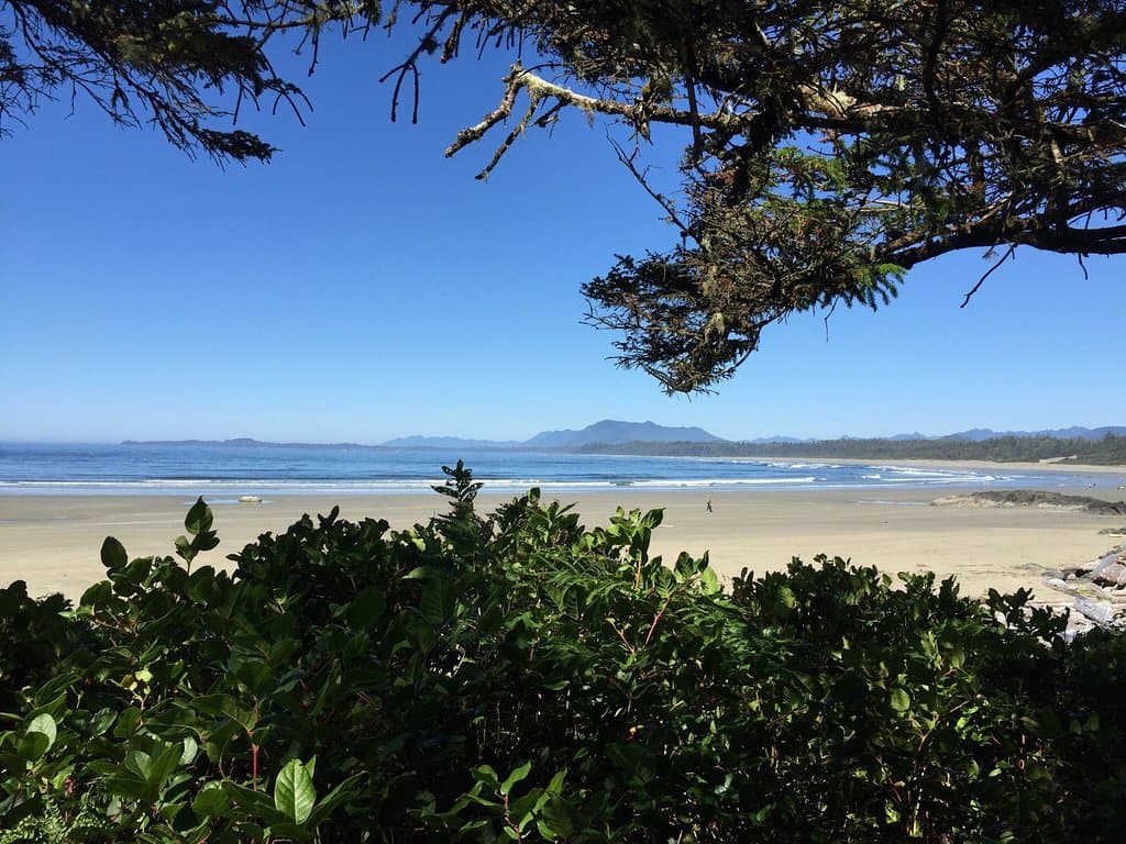 Kwisitis Visitor Centre Pacific Rim