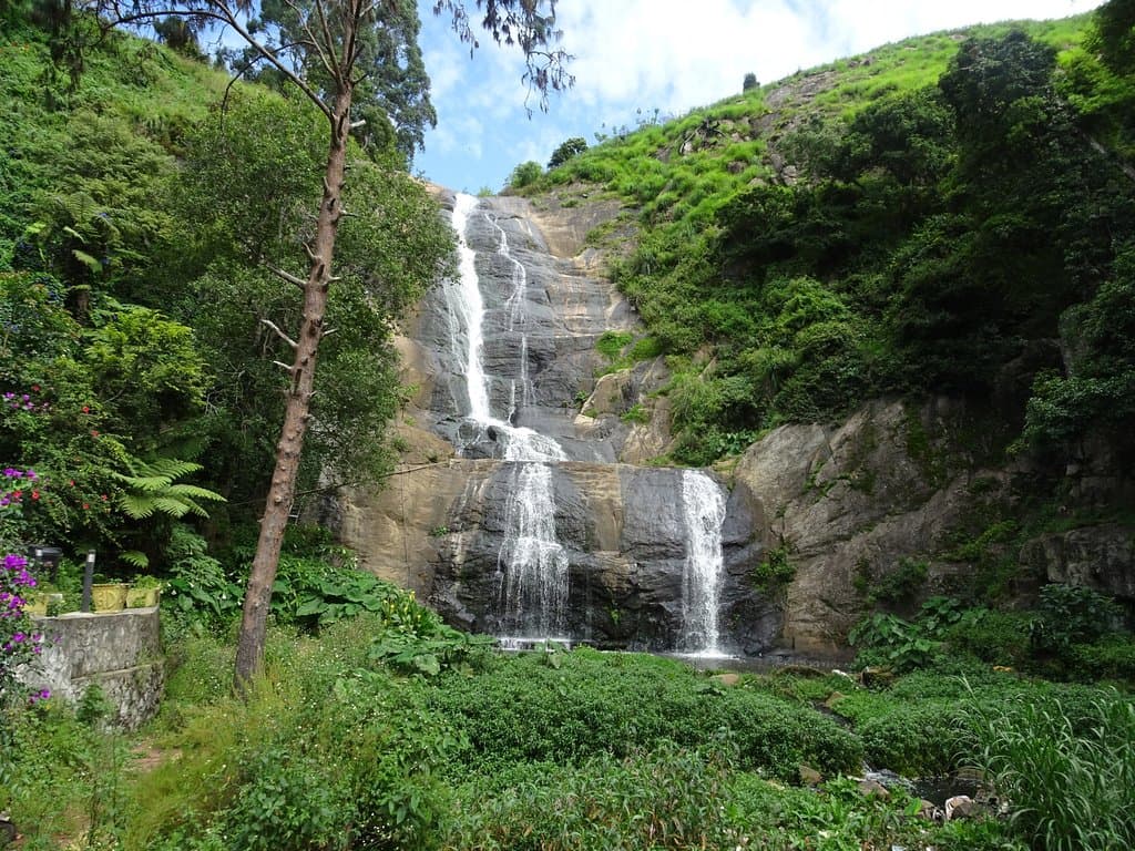 aaa