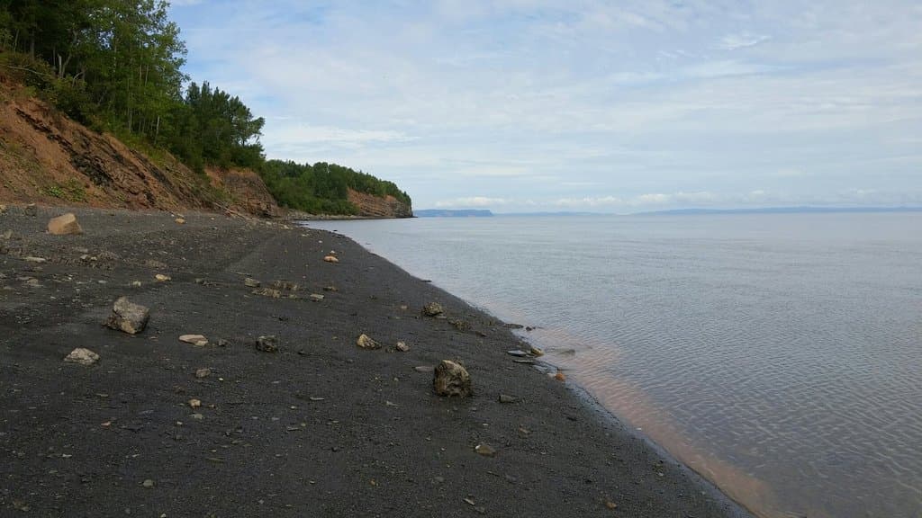 Blue Beach Fossil Museum