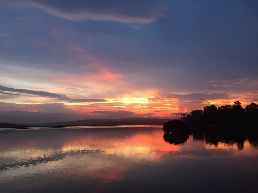 Incredible!  After a summer storm .....