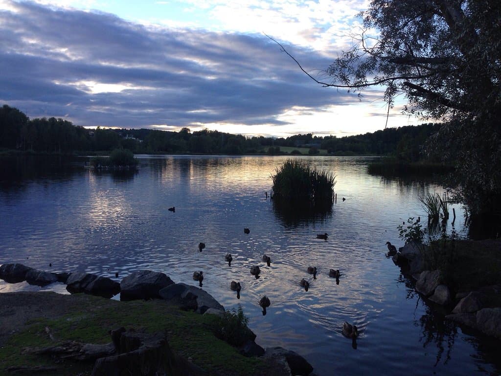 Østensjøvannet Oslo