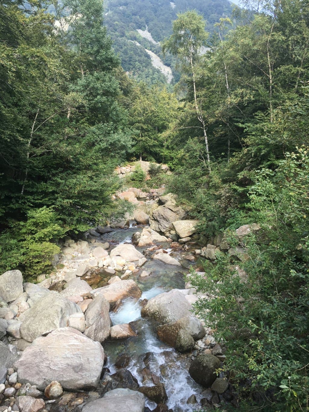 Torrente all'interno dell'area