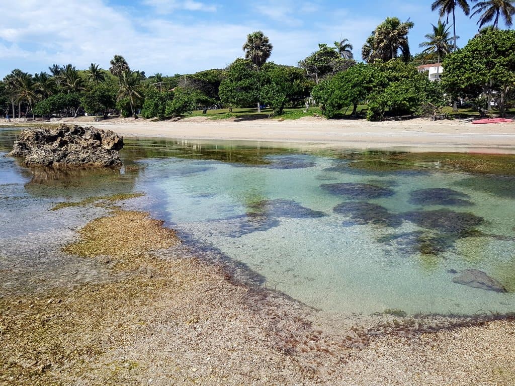 Confresi beach
