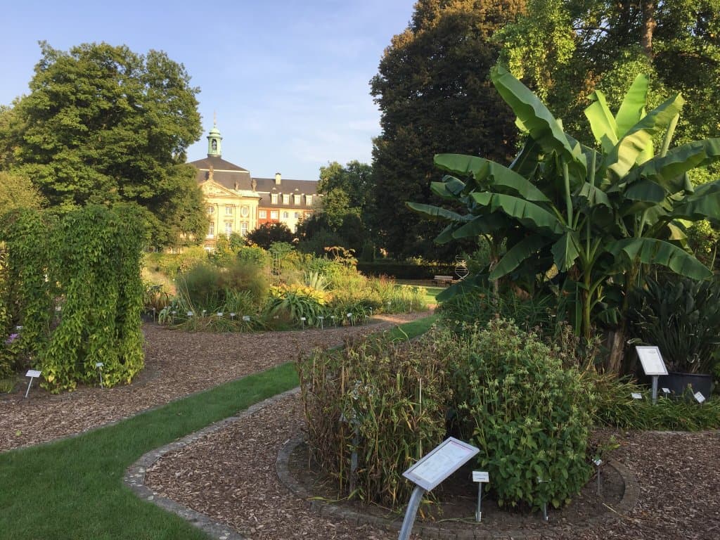 Botanical Garden Münster