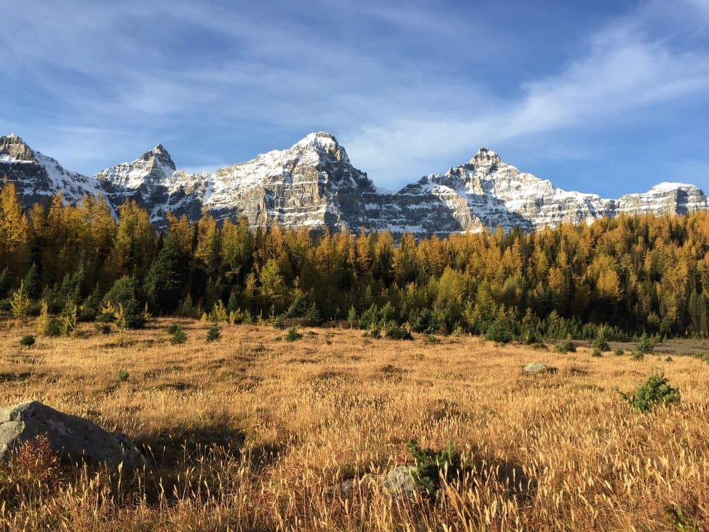 Larch Valley & Sentinel Pass