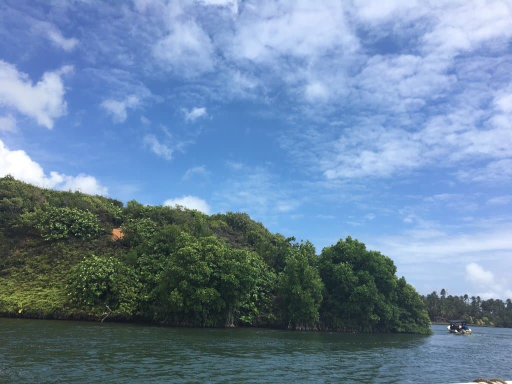 Koggala Lake