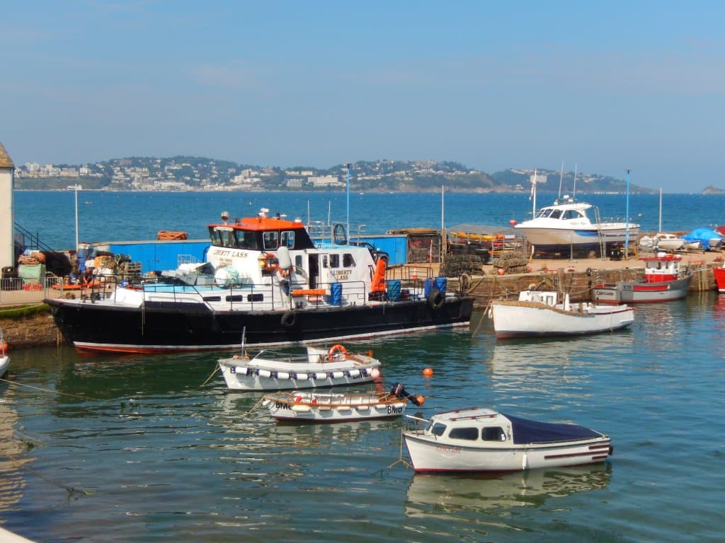 The Northern arm with Torquay in the background.