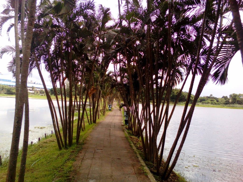 Path through middle of the lake