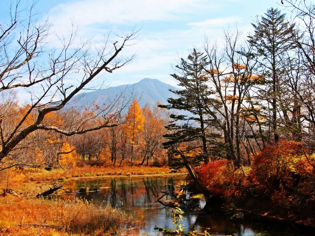 Senjogahara Marsh