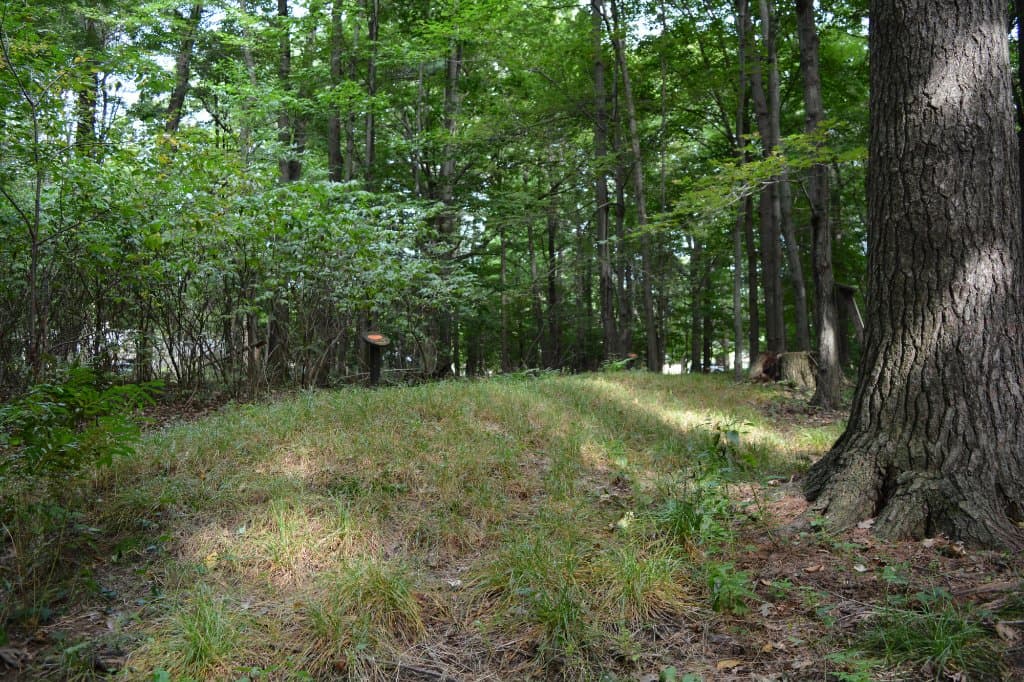 Burial Mound