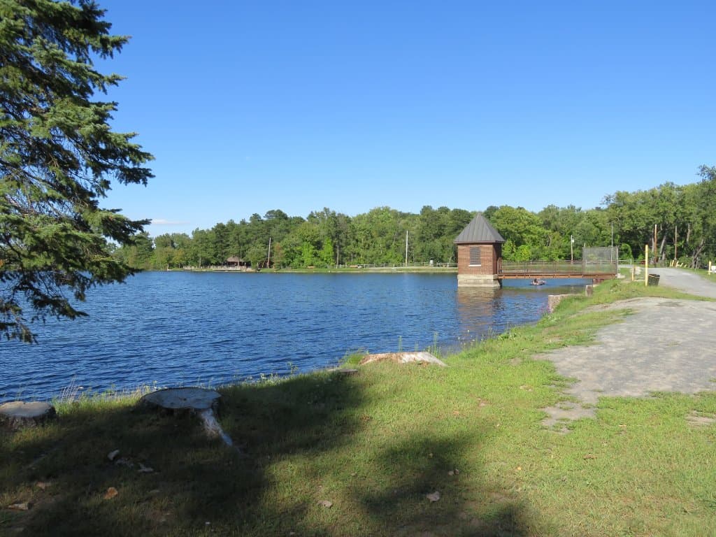 Albany Pine Bush Preserve