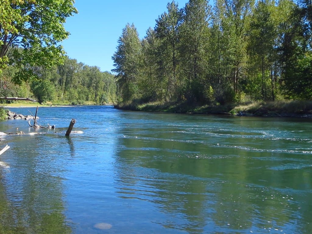 Along Coast Fork Willamette River