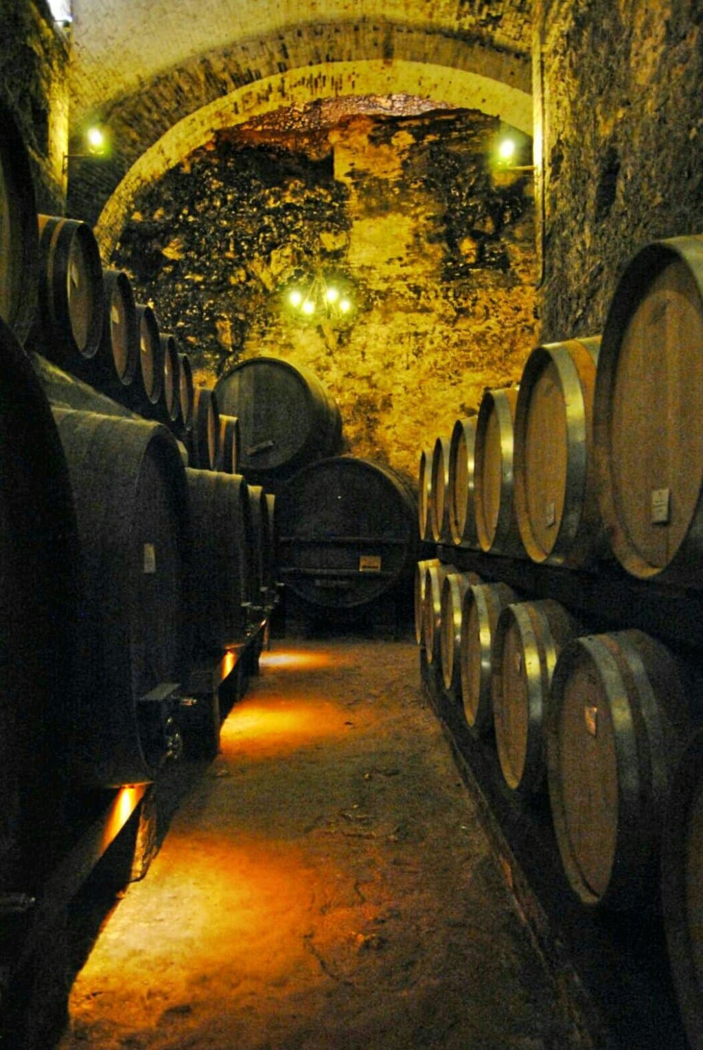 Cantina de' Ricci Underground Cellars