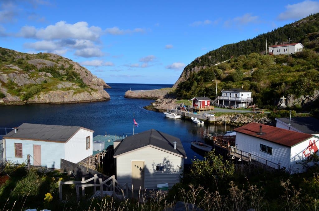 Sheltered bay with wild blueberries