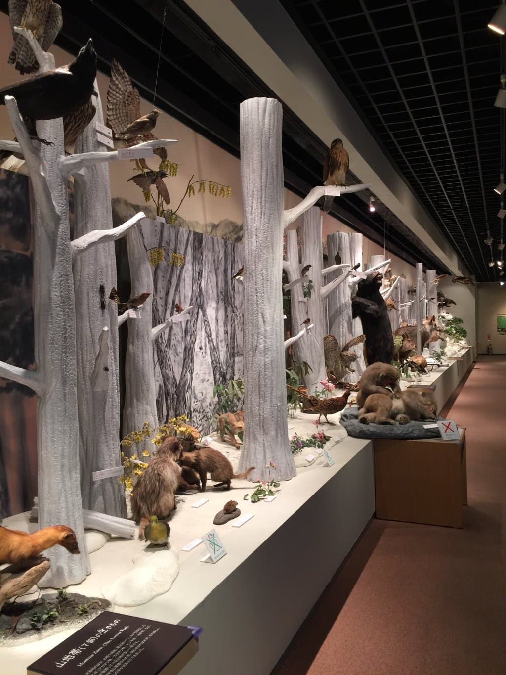 Omachi Alpine Museum