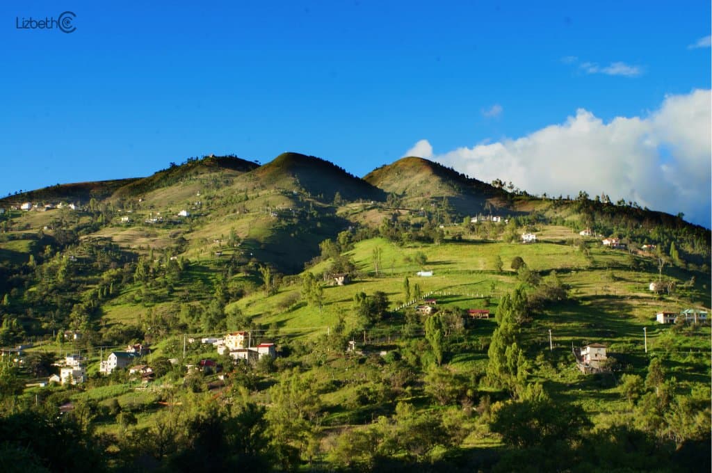 Vista desde el local