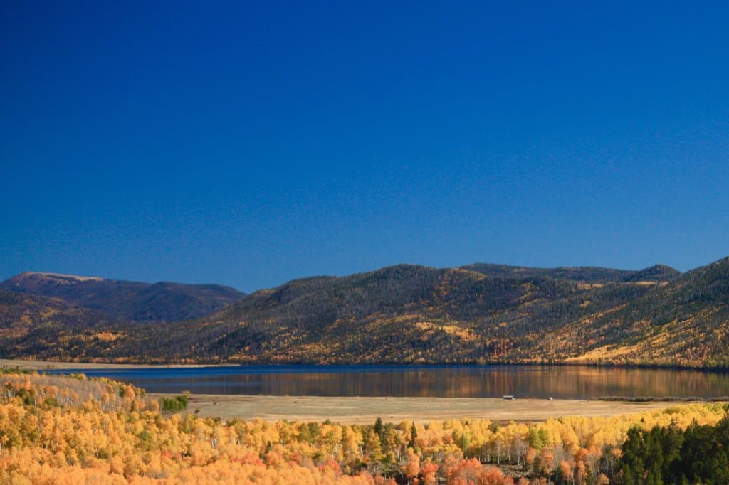 Fall Color Fish Lake, Utah