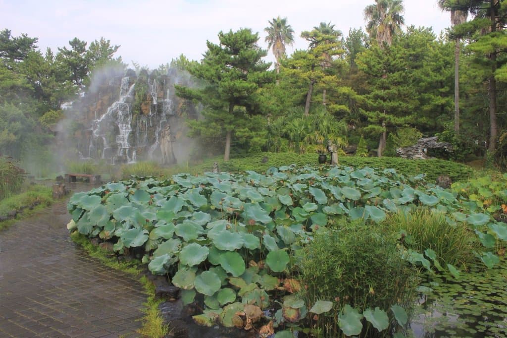 В парке много очень зеленой территории...