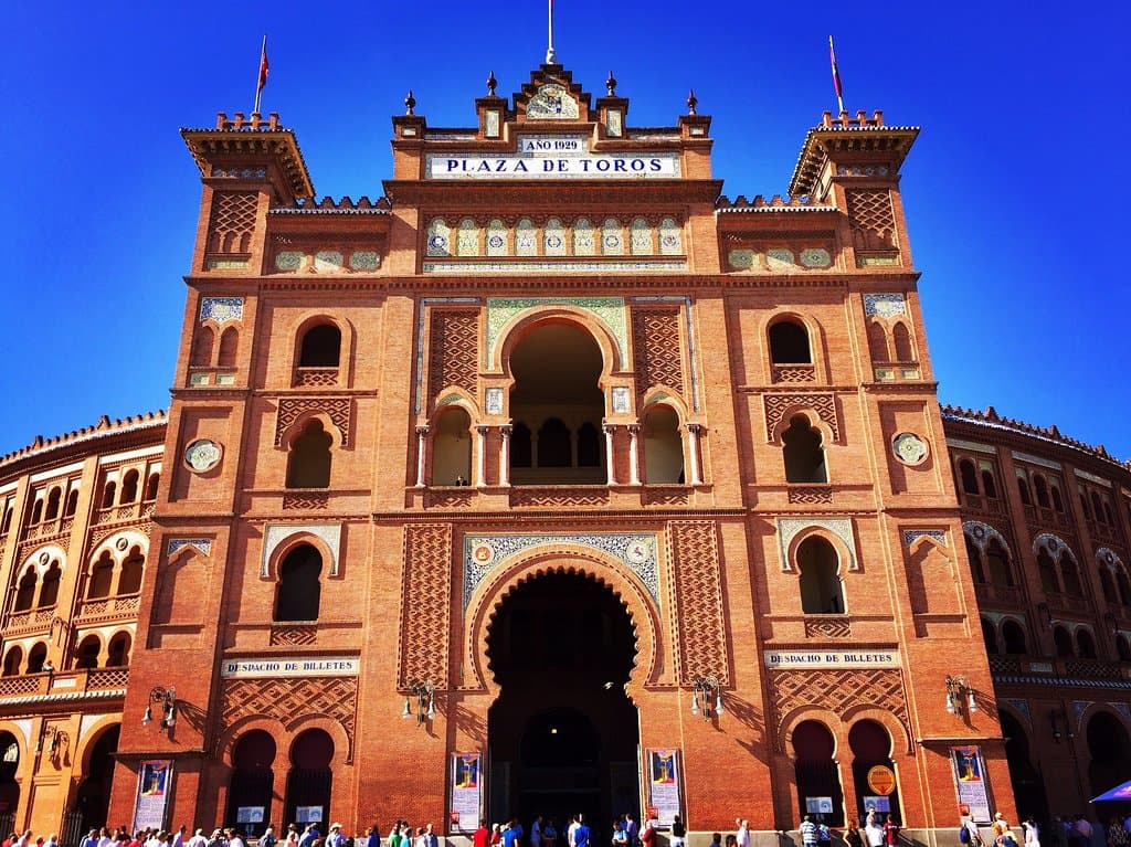 Bullfights! Insta: @thejcsuperstar
