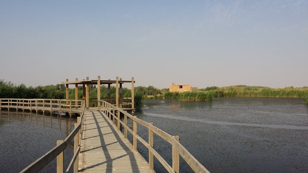 Azraq Wetland Reserve
