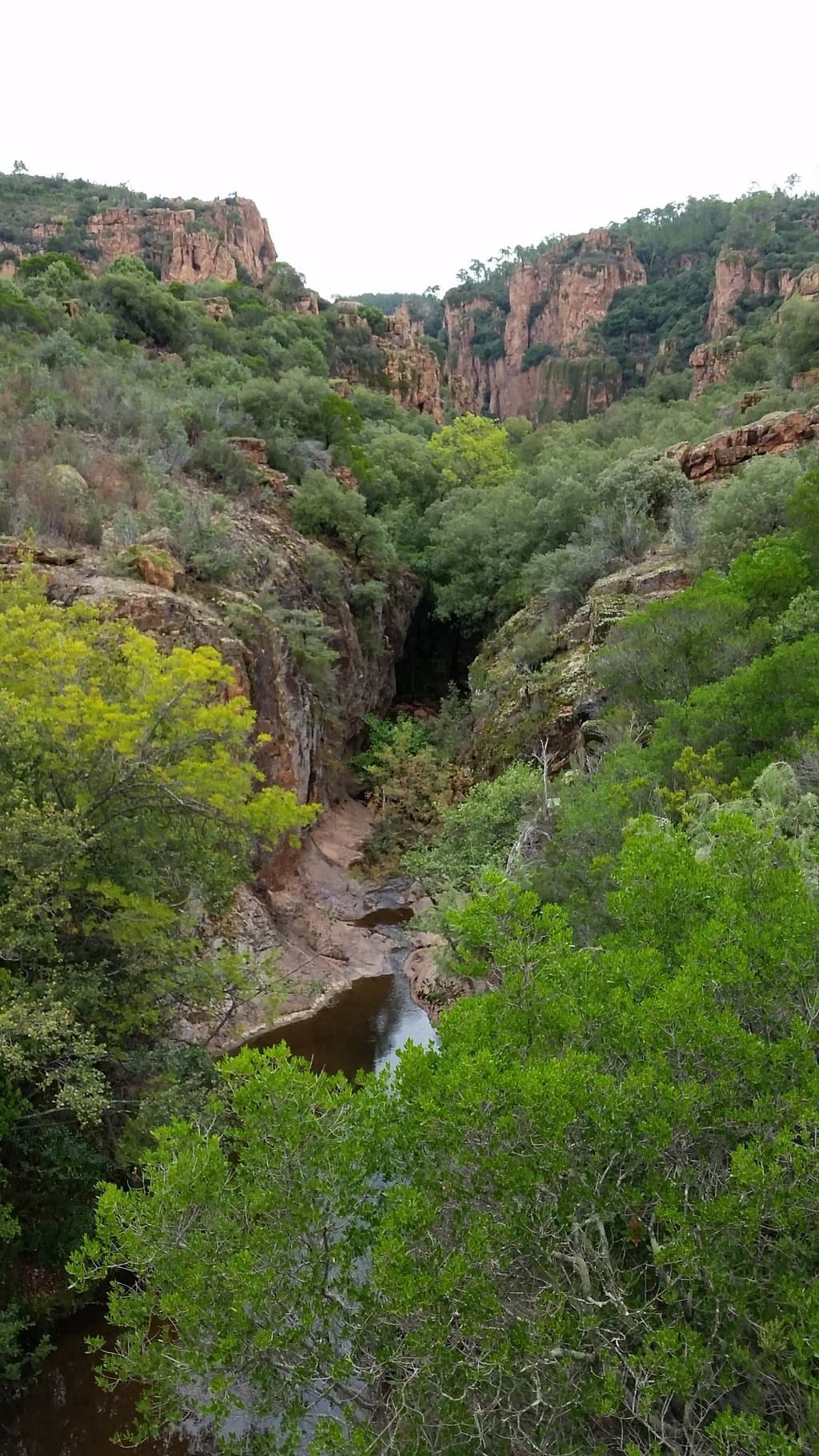 getlstd_property_photo