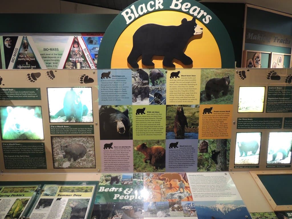 Centro de información Lynn Canyon