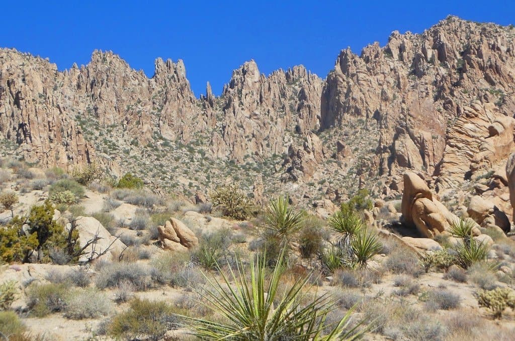 Rugged elevation