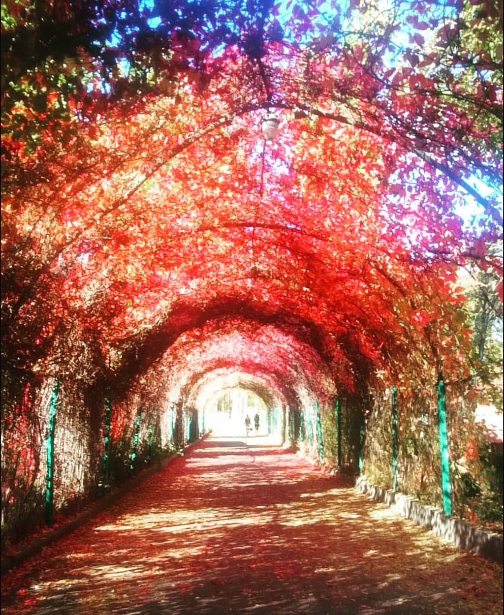 Circular Park Ring Garden