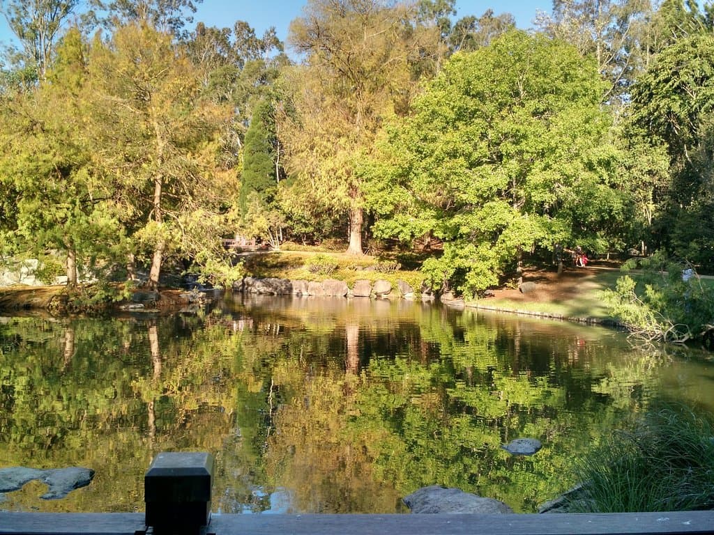 Nerima Japanese Gardens