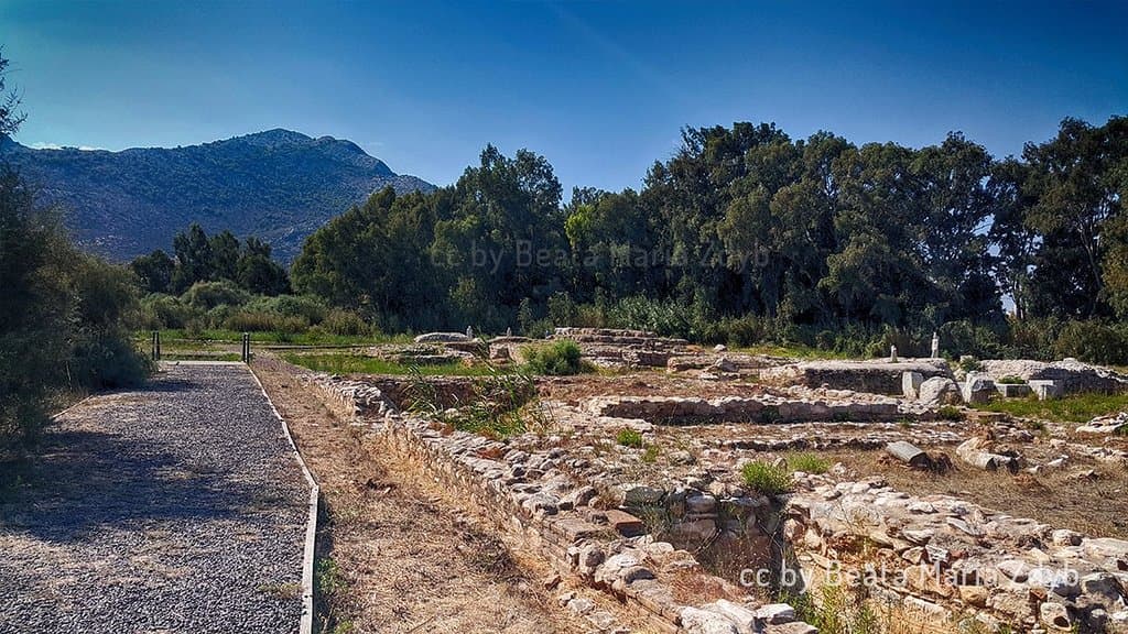View of the excavations