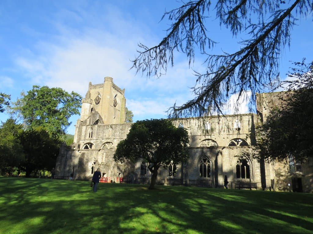 The cathedral - from the grounds