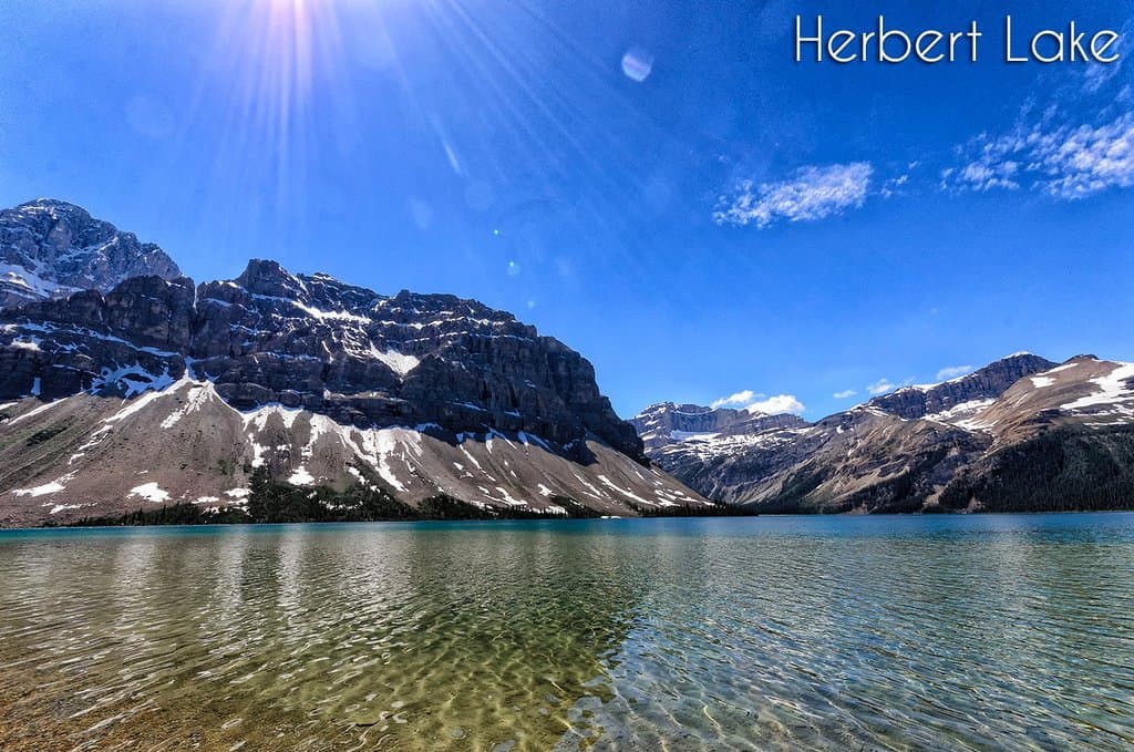 Herbert Lake