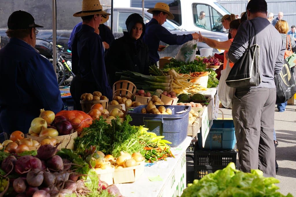 Lovely fresh produce, at Christmas time they sell trees here.