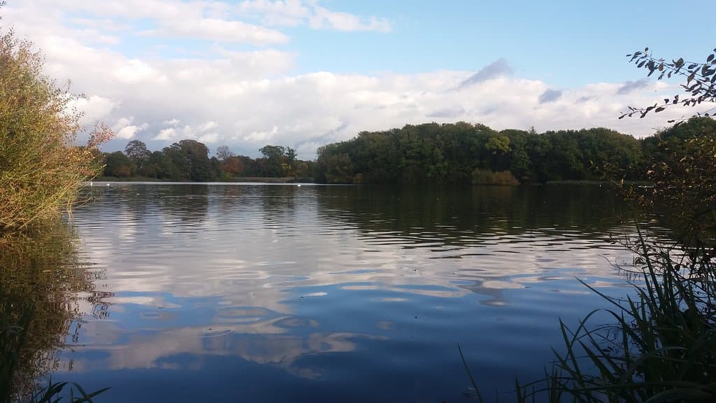 Coate's beautiful autumn colours.