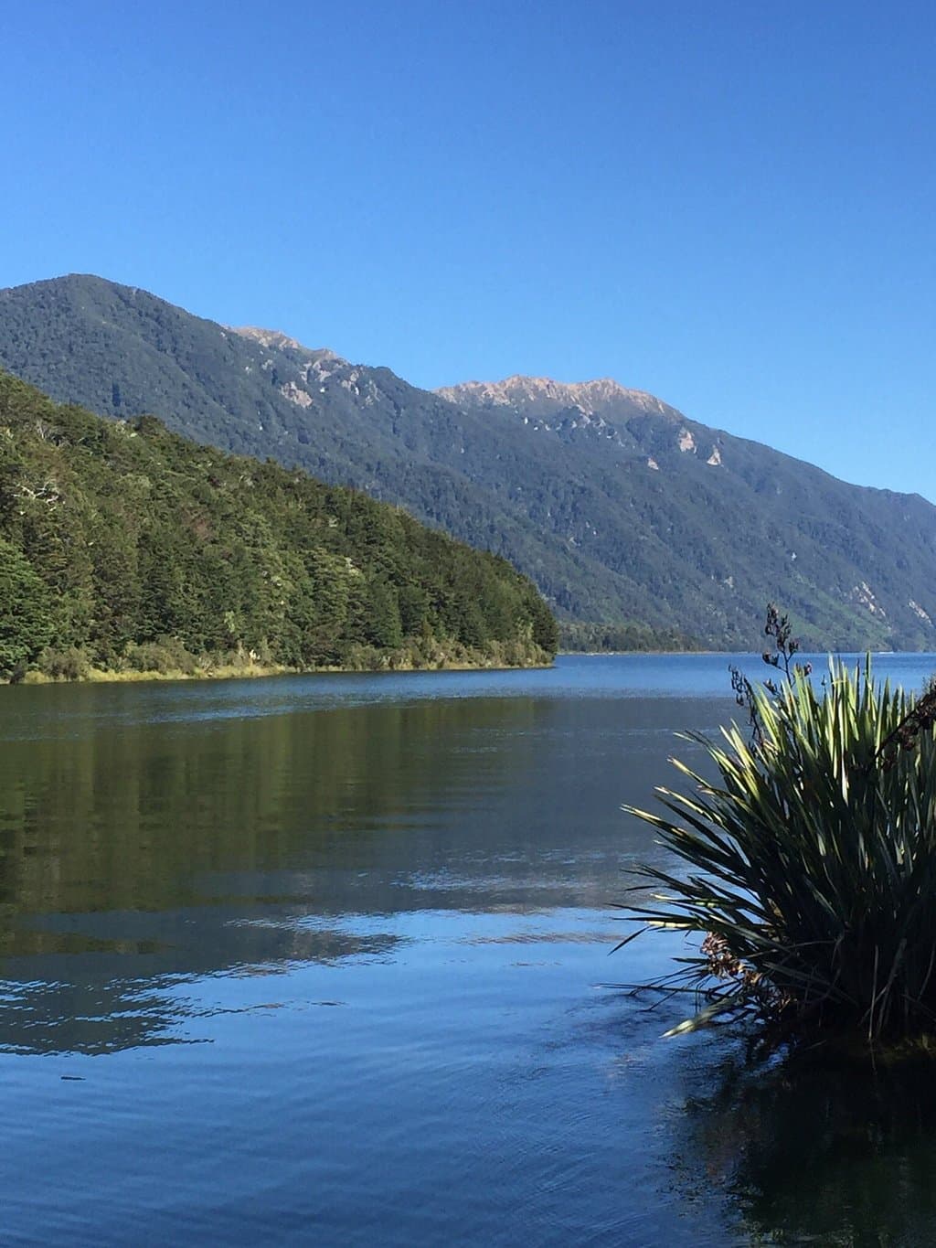 Lake Monowai New Zealand