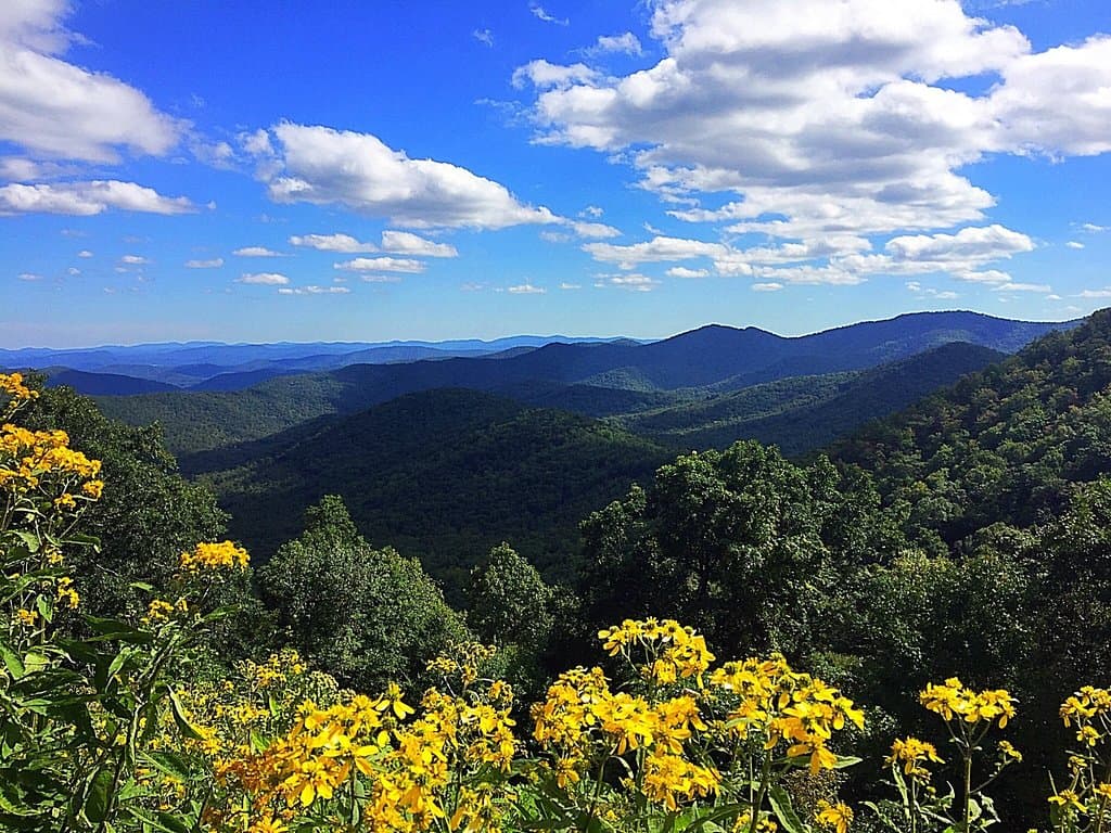 Otter Lake Blue Ridge Parkway