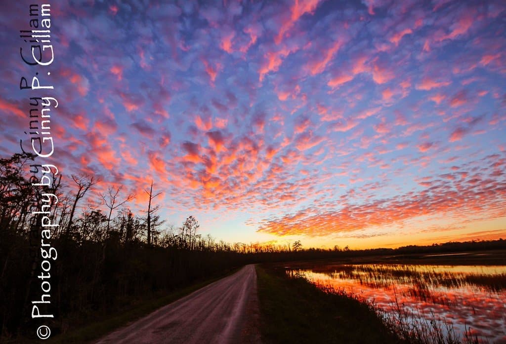 Winter sunset within the refuge.