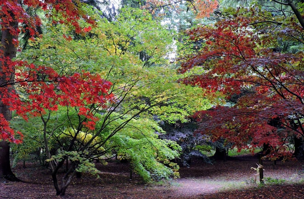 October colours.