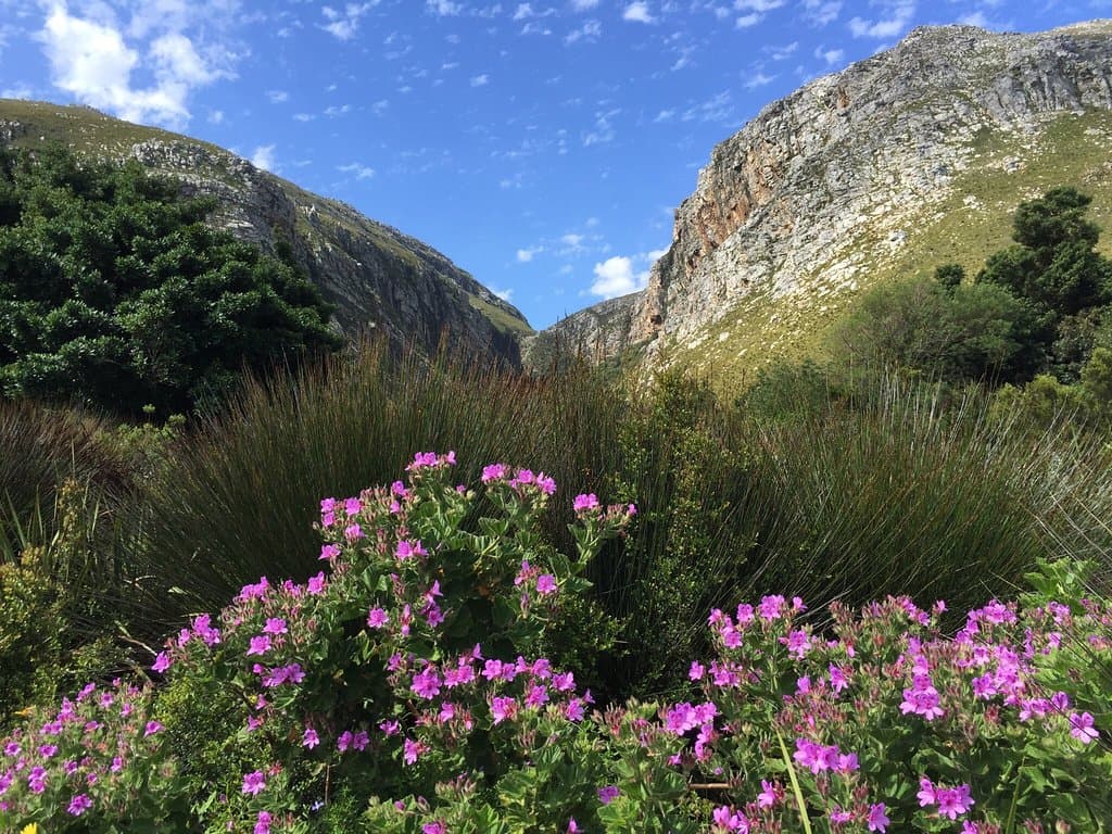 Harold Porter National Botanical Garden