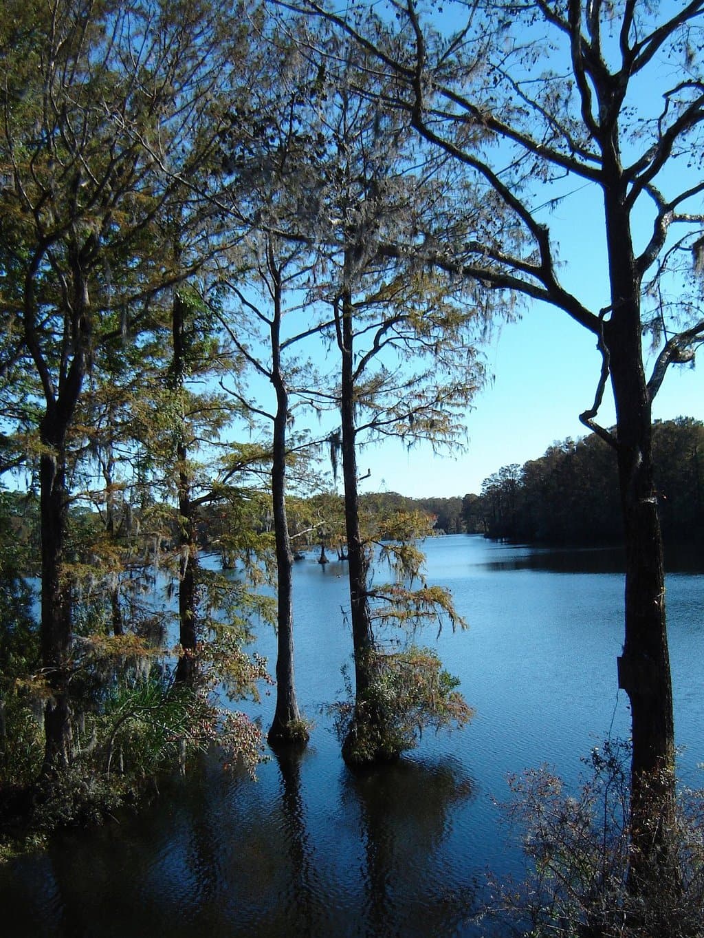 Worthy of a Painting