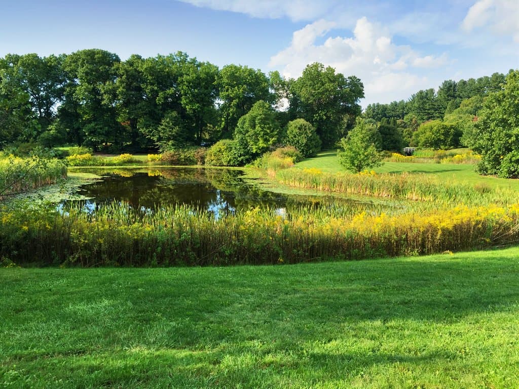 Scenic view