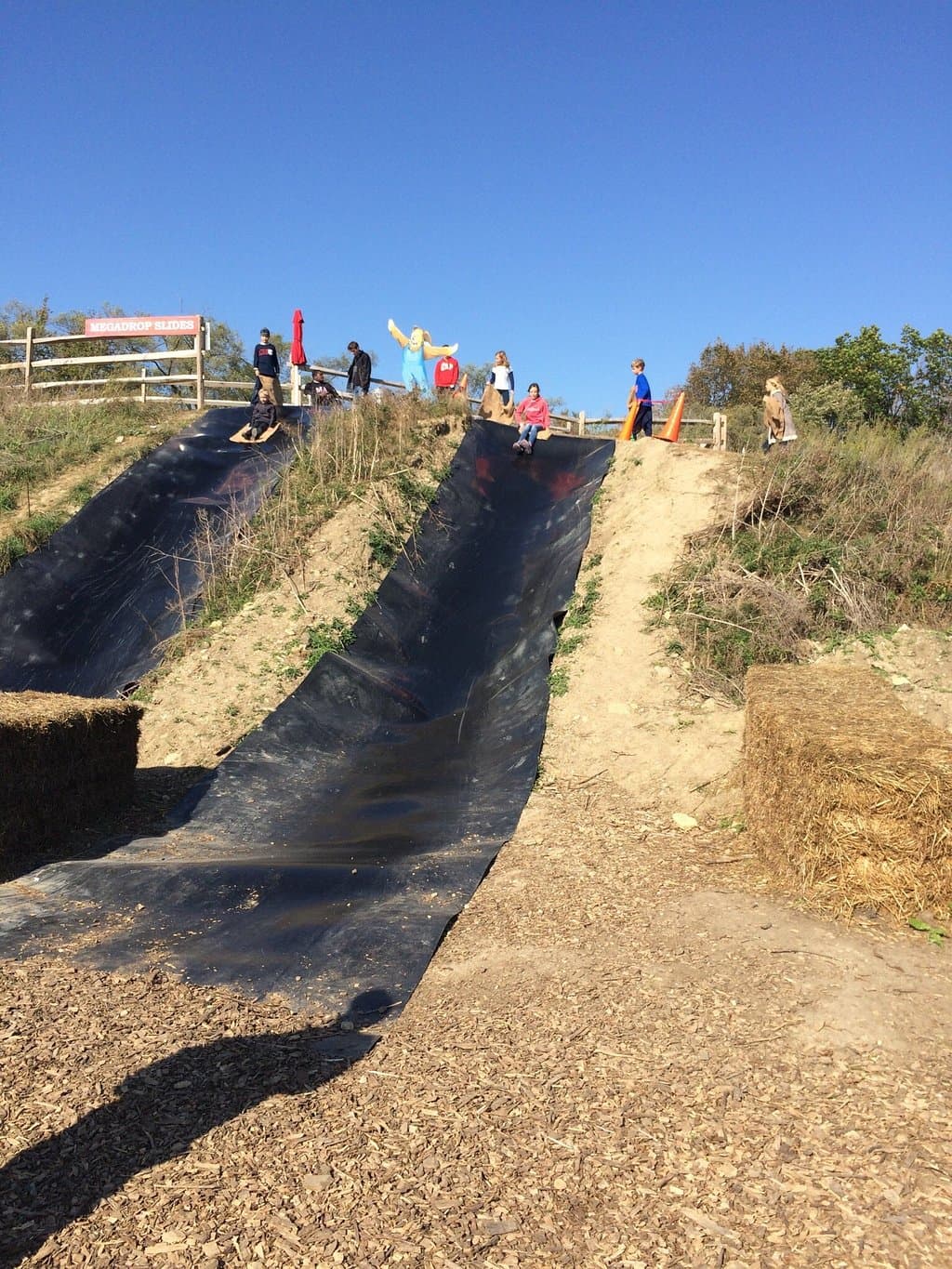 Loads of family fun!