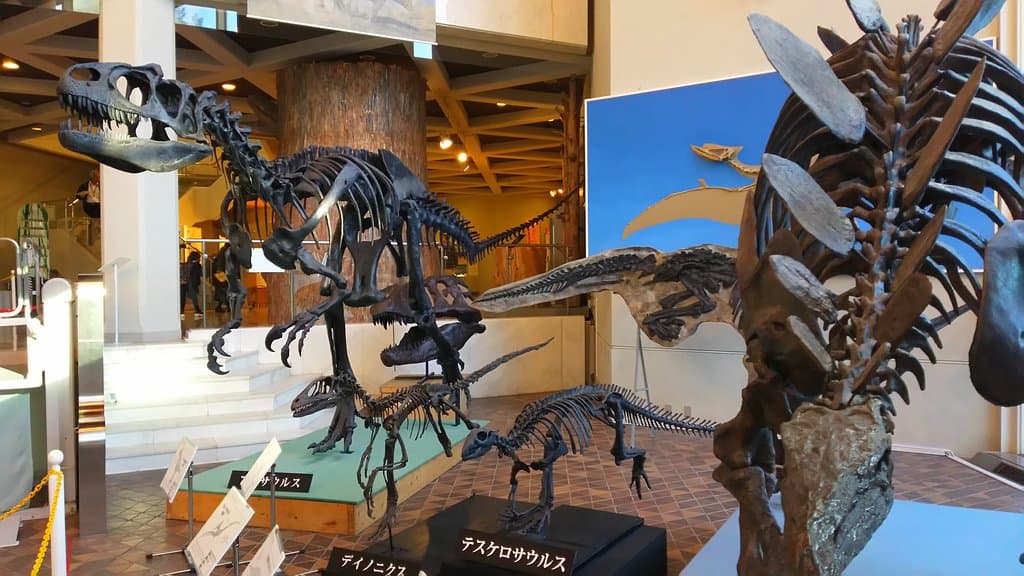 Museum of Fine Arts Gifu