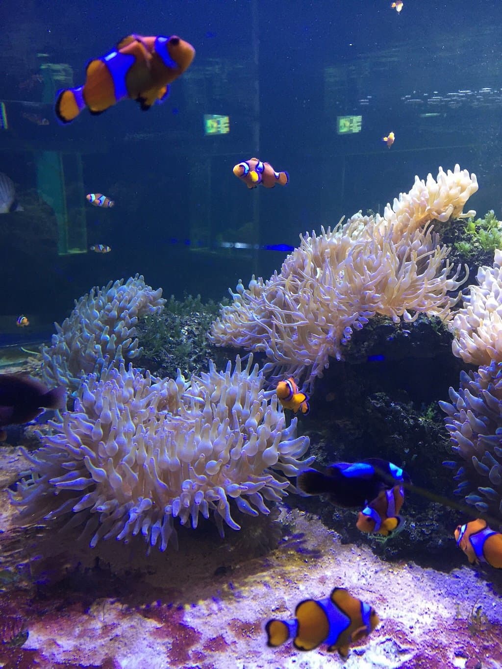 Bangsaen Institute of Marine Science, Burapha University